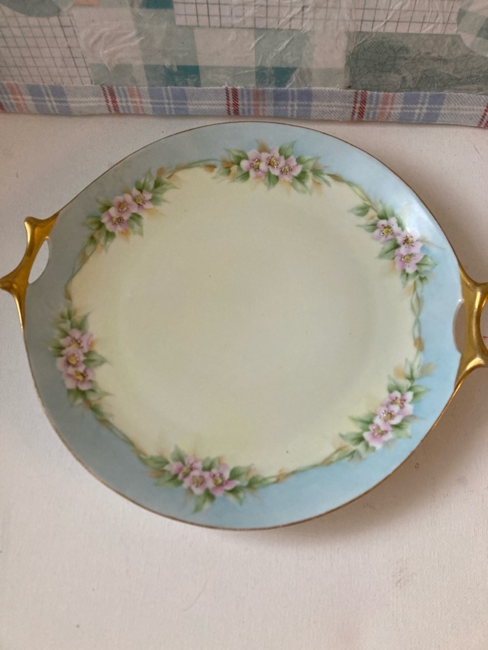 Hutschenreuther Floral Porcelain Bavarian signed 10in plate with handles